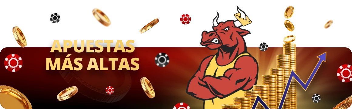 5 / 5